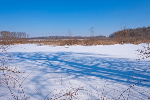 Tree Shadows Looming Over a Frozen Wetland in the Crabtree Nature Preserve in Illinois