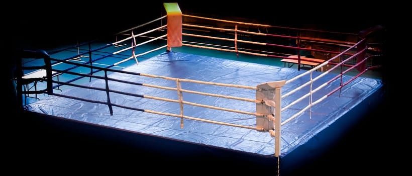 The modern Professional boxing ring illuminated in the middle