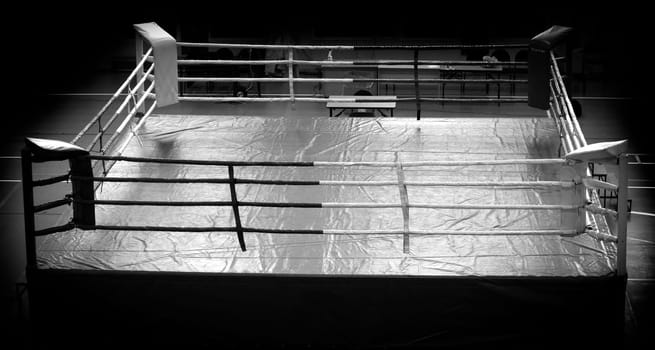 The modern Professional boxing ring illuminated in the middle