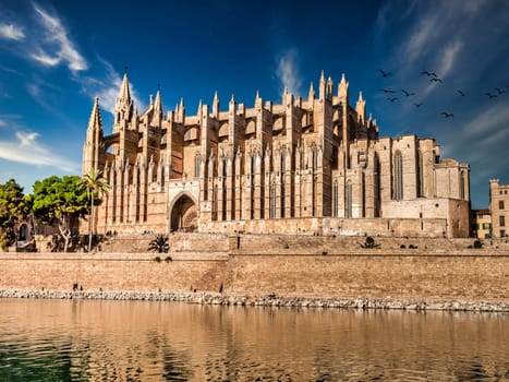 Palma Cathedral santa maria from the left side with clear sky and birds flying, daylight, Majorca Mallorca