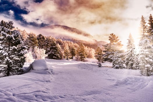Christmas Snow Landscape with trees and sunflare, stryn, Norway