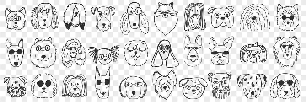Dogs faces doodle set. Collection of hand drawn funny cute faces of dogs pets of different breeds and fur styles isolated on transparent background. Illustration of dogs breeds for kids