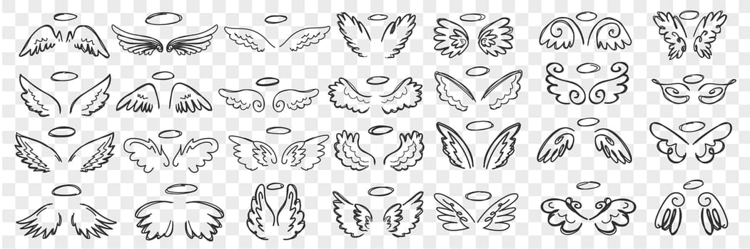 Angels wings and halo doodle set. Collection of hand drawn wings and halos of angels accessories of saint character in rows isolated on transparent background. Illustration of sacred person attributes