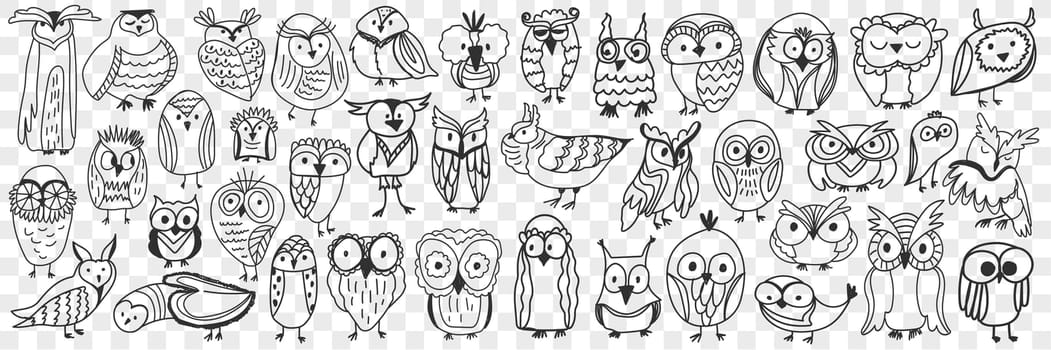 Various owls birds doodle set. Collection of hand drawn cute owls night birds of various shapes and sizes showing faces isolated on transparent background. Illustration of bird type for kids