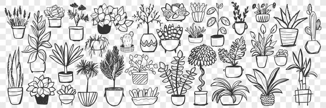 Plants in pots doodle set. Collection of hand drawn homegrown plants and flowers in pots for decoration isolated on transparent background. Illustration of natural botany floral indoor lifestyle