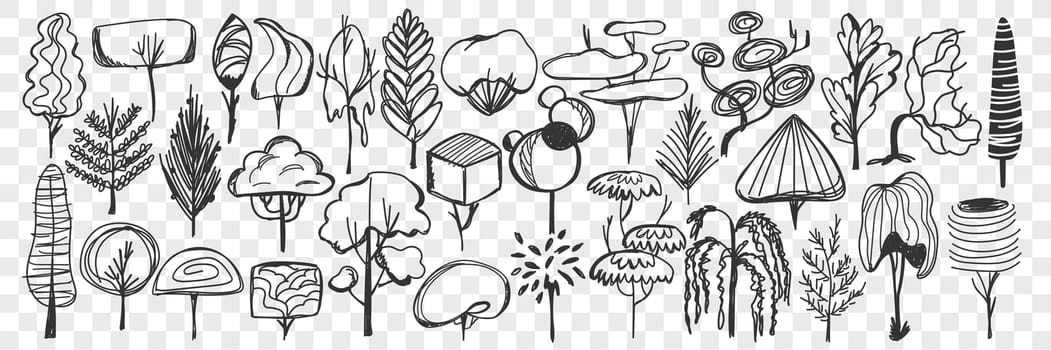 Trees doodle set. Collection of hand drawn deciduous and coniferous trees with leaves and crowns isolated on transparent background. Illustration of nature plants and trees of various types