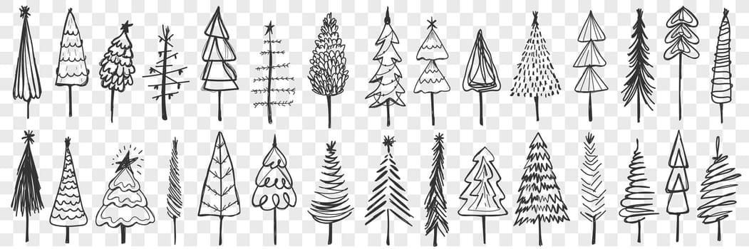 Coniferous trees doodle set. Collection of hand drawn coniferous trees with crowns and trunks traditional for Christmas decoration isolated on transparent background. Illustration of New year symbol