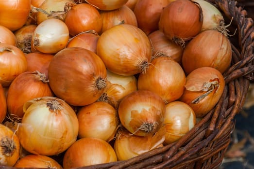 Onion Background