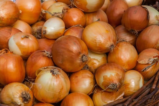 Onion Background