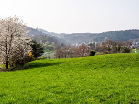 Heppenheim, Odenwald landscape, spring, germany