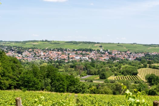 Ingelheim, Rhein, Germany during summertime