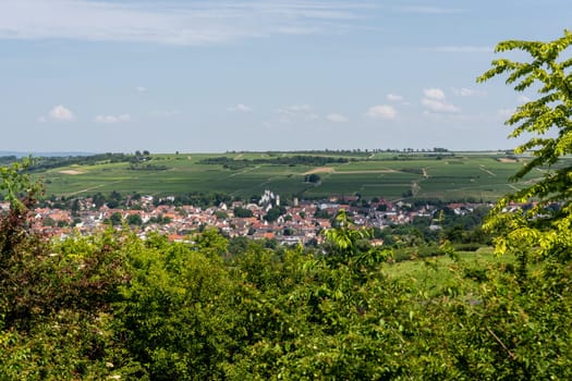 Ingelheim, Rhein, Germany during summertime