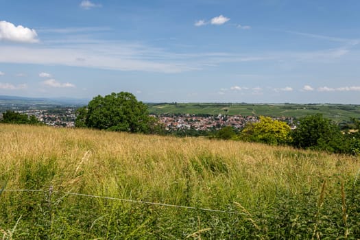 Ingelheim, Rhein, Germany during summertime