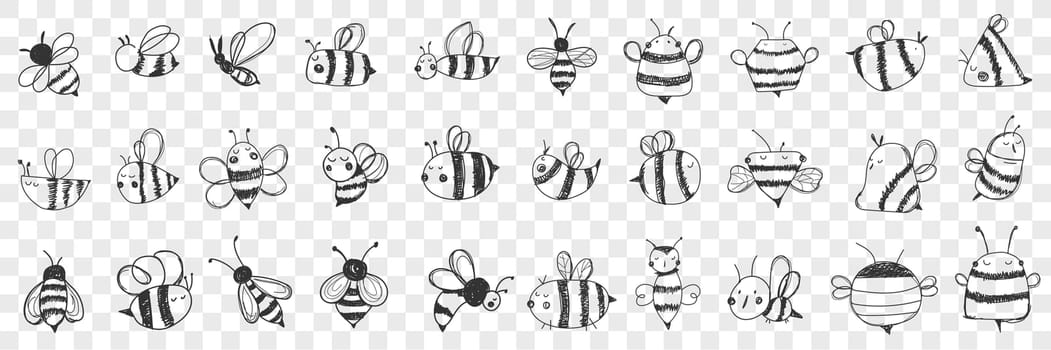 Bees doodle set. Collection of hand drawn various striped bees with wings with different patterns flying isolated on transparent background. Illustration of beautiful insect and honey lover