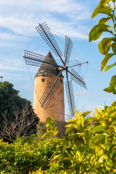 Typical wind mill, Majorca