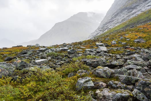 A autumn landscape in Norway