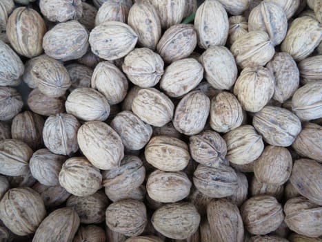 delicious hard nutshell healthy dry fruit natural diet