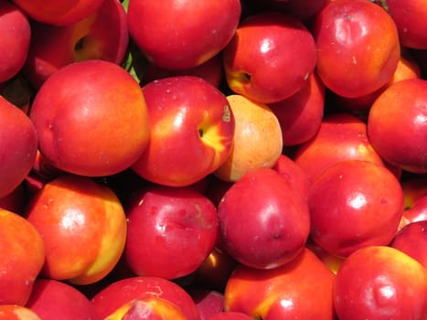 delicious nectarine fruit flavor color aroma natural vitamins
