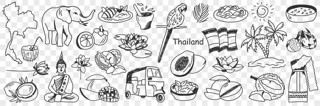 Thailand cultural symbols doodle set. Collection of hand drawn various thai signs elephant parrot bus tourist papaya palm tree sun beach sea map cocktail costume isolated on transparent background