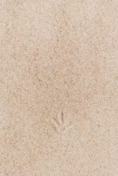 Sand waves background/ texture, north sea