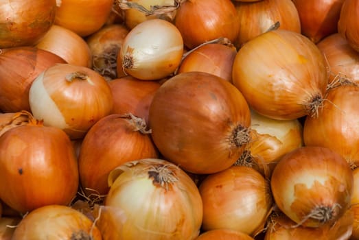 Onion Background