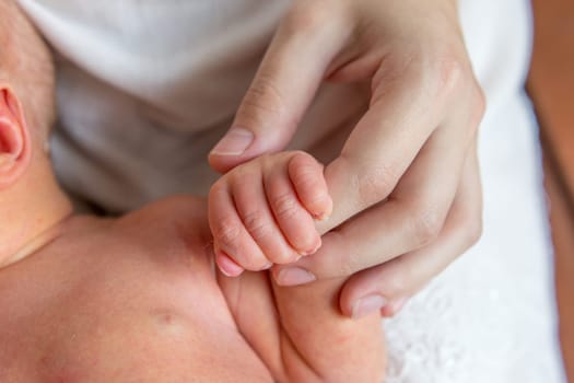 the child's handle on the mother's finger. the little hand of a