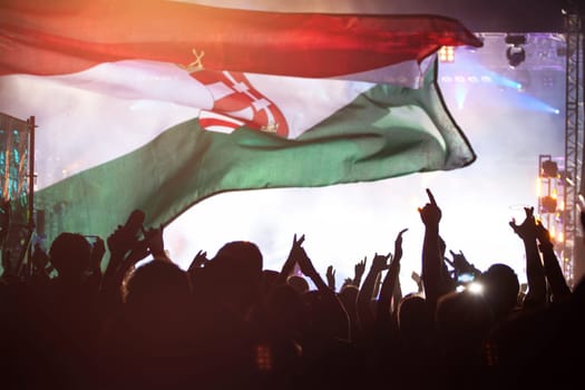 Soccer fans supporting Hungary - crowd celebrating in stadium with raised hands against Hungary flag