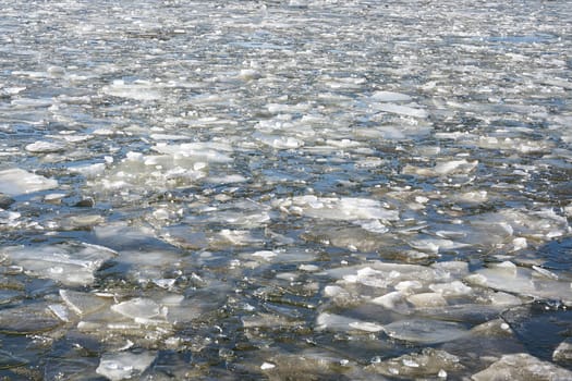 Ice floes on the river Elbe near Magdeburg on a cold winter day
