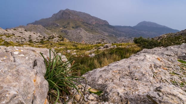 Serra de Tramuntana landscape, Mallorca