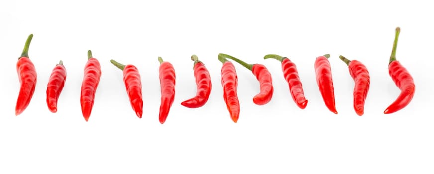The close up row line composition chilli red peppers isolated on white background
