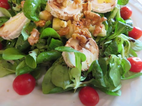 delicious salad lettuce canons cheese fresh aromatic tomato
