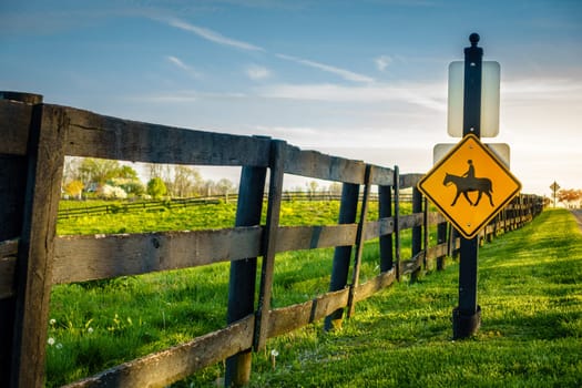 Equestrian crossing road sign by a horse farm in Central Kentucky