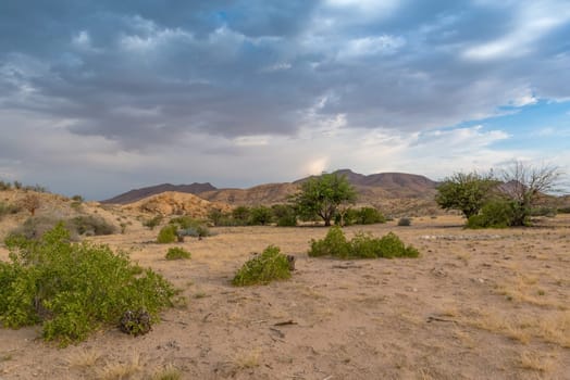Landscape of the dry savannah in the northwest of Windhoek, Namibia