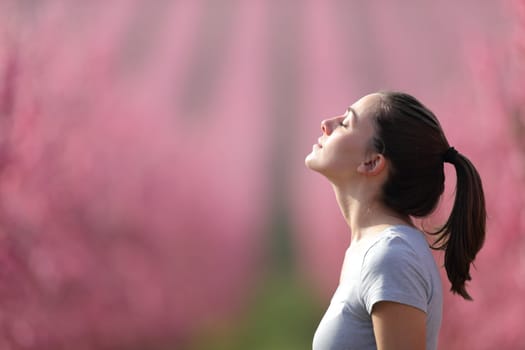 Runner breathing fresh air in a pink field