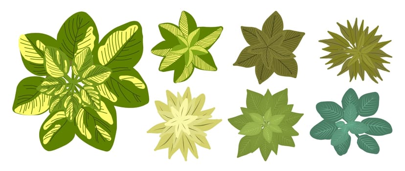 Botanical elements for a landscape plan. Landscaping constructor. Plants top view isolated on white background. Vector illustration.