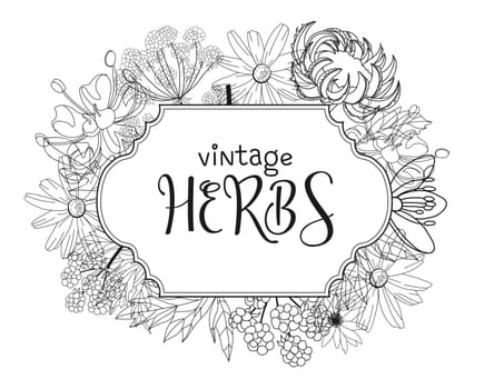 Template card with medicinal herbs. vector template. Wild medicinal plants. Retro flowers. Hand drawing illustration. Engraving style. Botanical illustration. Pharmacy herbs labels. Fresh local organi