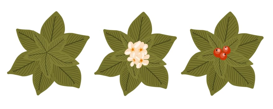 Botanical elements for a landscape plan. Landscaping constructor. Plants top view isolated on white background. Vector illustration.