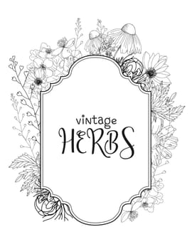 Template card with medicinal herbs. vector template. Wild medicinal plants. Retro flowers. Hand drawing illustration. Engraving style. Botanical illustration. Pharmacy herbs labels. Fresh local organi