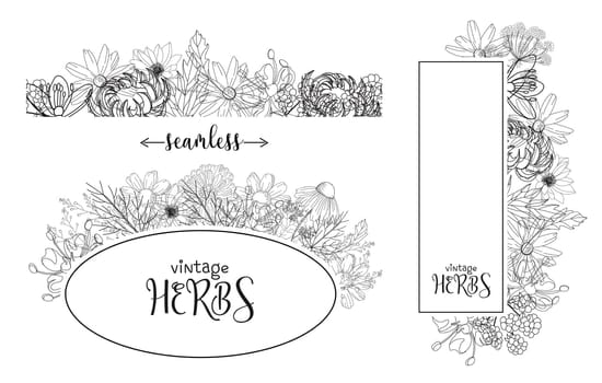 Template card with medicinal herbs. vector template. Wild medicinal plants. Retro flowers. Hand drawing illustration. Engraving style. Botanical illustration. Pharmacy herbs labels. Fresh local organi