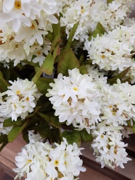 Beautiful flowers background. Abstract background of flowers