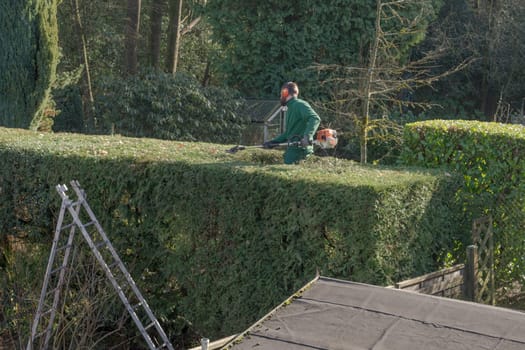Pruning bushes in the garden. Autumn gardening..