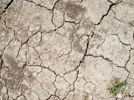 Full framed view of parched, cracked earth with individual small pebbles and a single small grass plant.