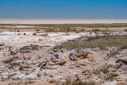 view of the dry Etosha salt pan at Etosha national park, Namibia