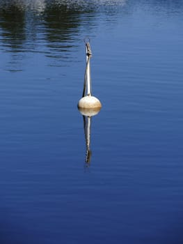 mooring buoy reflected in blue water in summer, yachting concept