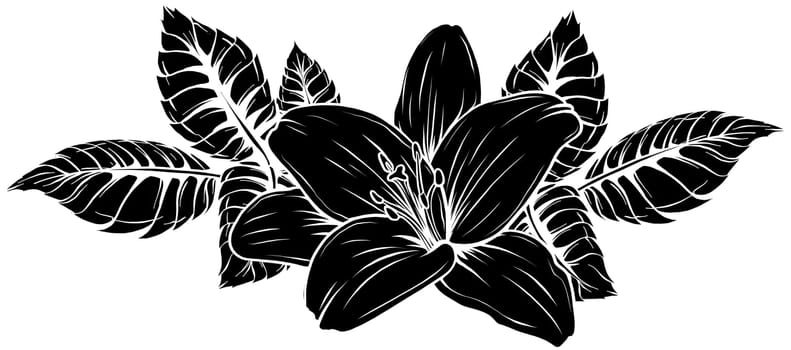 colored lily flower isolated design