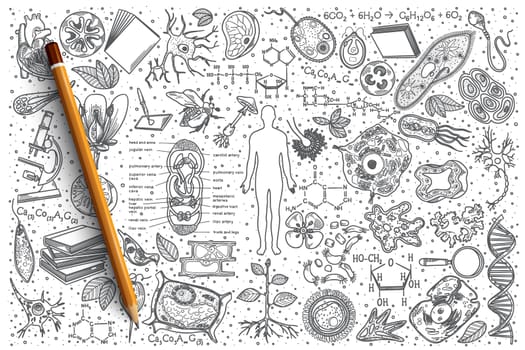 Hand drawn Biology vector doodle set background