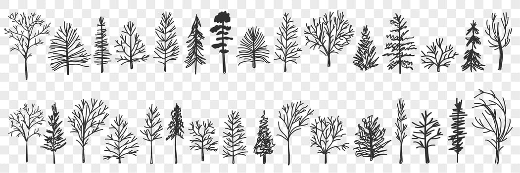 Silhouettes of trees pattern doodle set. Collection of hand drawn various black trees silhouettes in forests or parks natural pattern isolated on transparent background