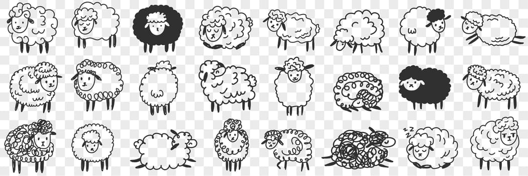 Funny white and black sheep animals doodle set. Collection of hand drawn various funny cute fluffy sheets in farms in different poses enjoying life isolated on transparent background