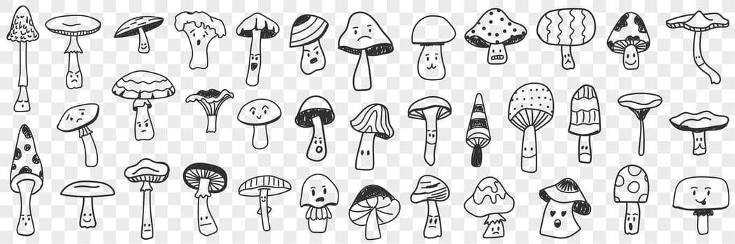 Edible and inedible mushroom doodle set. Collection of hand drawn edible and inedible mushrooms types growing in forest for picking isolated on transparent background
