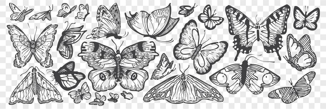 Hand drawn butterflies doodle set. Collection of pencil chalk drawing sketch different coloring wings cabbage butterfly nocturnal moth makhaon on transparent background. Flying insect illustration.